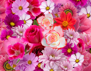 Floral background of garden bright flowers