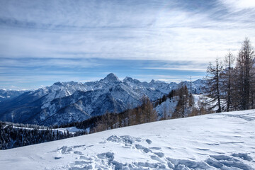 Fototapeta na wymiar winter day in the alps of Friuli Venezia-Giulia