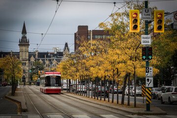 Streetcar tram in the city on a gloomy autumn day in fall with yellow honey locust trees