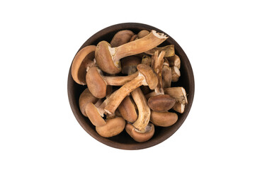 Top view of a clay bowl with autumn mushrooms isolated on a white background.
