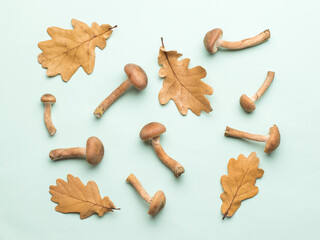 Oak leaves and autumn mushrooms on a blue background.