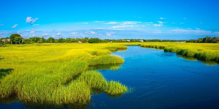  Vibrant colors of the green marsh plants and blue sky with reflections on the water surface.