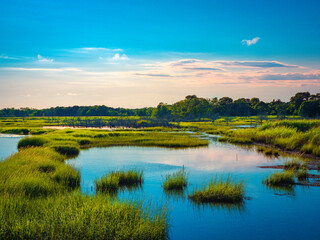 Fototapeta na wymiar Cape Cod marshland seascape with circularly scattered little islands of wild plants. Tranquil curving river flowing through the swampy marshland on Cape Cod at full tide. Vibrant colors of the green 