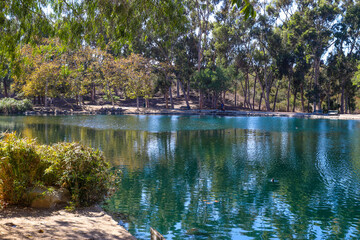 a gorgeous shot of the still blue lake water surrounded by lush green and autumn colored trees reflecting off the water with blue sky and clouds at Kenneth Hahn Recreation Area in Los Angeles CA