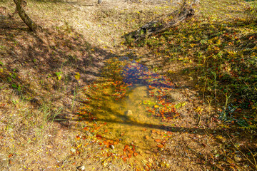 maintained park for recreation for all open in Germany