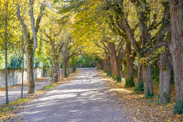 Naklejka premium maintained park for recreation for all open in Germany