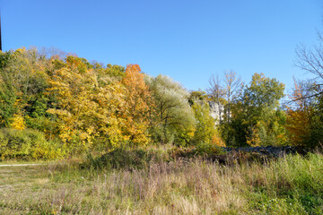 Fototapeta premium maintained park for recreation for all open in Germany
