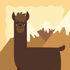 llama in the mountains