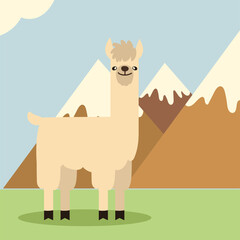 white llama and mountains © djvstock