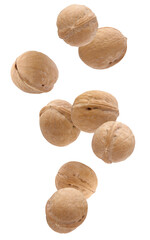 flying walnuts isolated on a white background