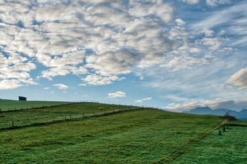 Beautiful view of the meadow in the mountains.
