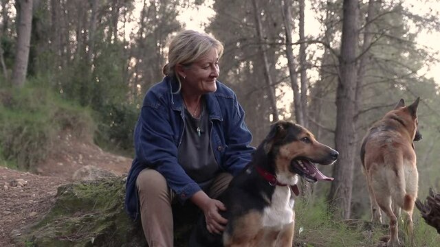 Woman in denim jacket sitting on a rock in the forest stroking her dog