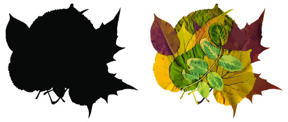 A beautiful autumn bouquet of various leaves and its silhouette are isolated on a white background. Vector. Illustration.