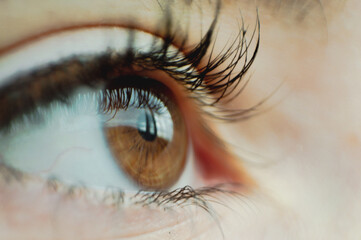 Imagen de un ojo marrón tierra de una chica con máscara de pestañas en un plano detalle casi...