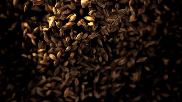 Super slow motion a bunch of rye grains go up. On a black background. Filmed on a high-speed camera at 1000 fps.High quality FullHD footage