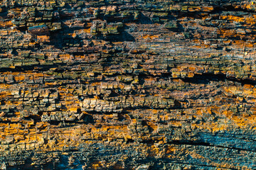 Colorful wood texture background. Pattern for web banner, free text space.