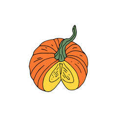 Hand drawn doodle orange pumpkin isolated on white background.