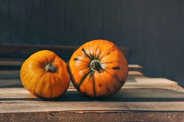 orange pumpkins on a dark background. copy space