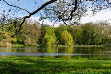 view on the park full of beautiful trees and on the pond located in it