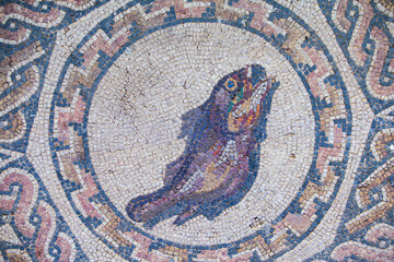 Fish roman mosaic