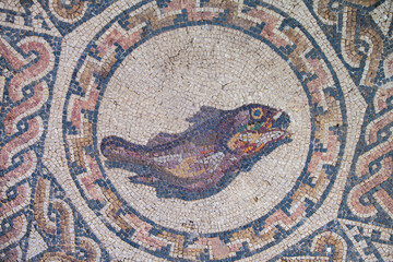 Fish mosaic. Merida, Spain