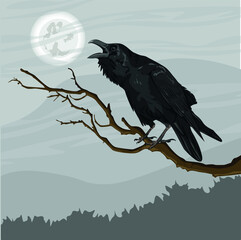 A large black crow, Corvus corax, sits on a tree branch. Spruce forest and cloudy night sky on the horizon. Realistic vector landscape
