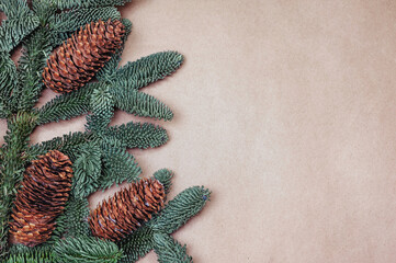 Fir branches with cones on the background of craft paper