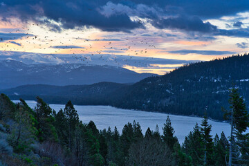 Mesmerizing view of Donner Lake, a freshwater lake in Northeast California at sunset