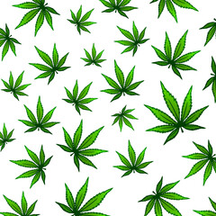 Cannabis marijuana drug , herb rass legal healthy planted background