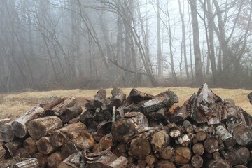 Fototapeta na wymiar firewood stacked in a field on a foggy morning