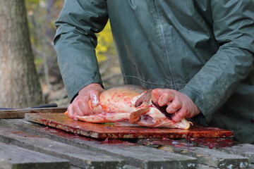 fisherman kills carp during the catch of the pond, preparing the fish for cooking