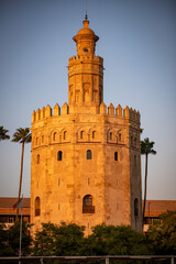 Fototapeta premium golden tower - seville - spain