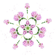 Clover ornamental star geometric logo template vector symbol  