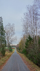 Fototapeta na wymiar Gravel road through autumnal countryside