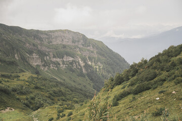 Fototapeta premium Beautiful mountains for the background. Trees on the mountain surface. Fog among the mountains. A place for text and advertising with nature.