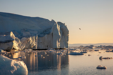 Icebergs in Disko Bay, Greenland © Richard Waghorn