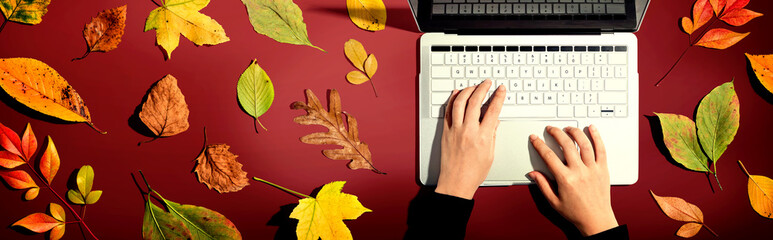 Autumn leaves with person using a laptop computer from above