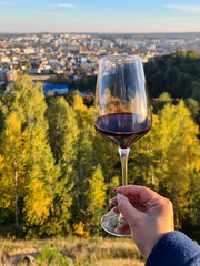 Red wine glass with the garden view