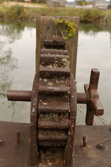 Old rusty gear with lichen