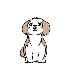 Shih Tzus シーズー