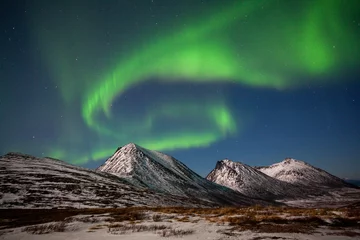 Fototapeten Nordlichter Aurora Borealis in Tromsø, Norwegen © Richard