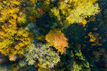 Naklejka na ściany i meble Luftaufnahme: Wald im Herbst