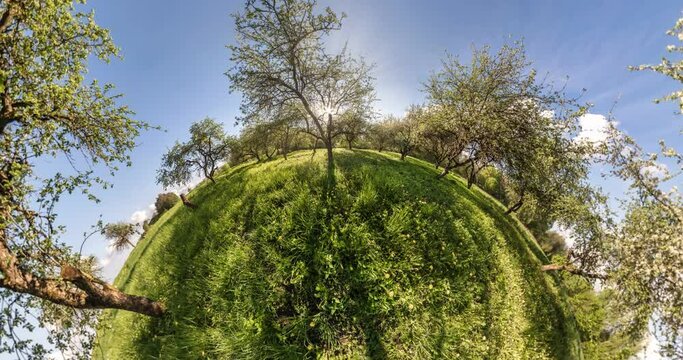 spiral twist slow rotation of landscape into a green tiny planet in apple orchard. curvature of space. 