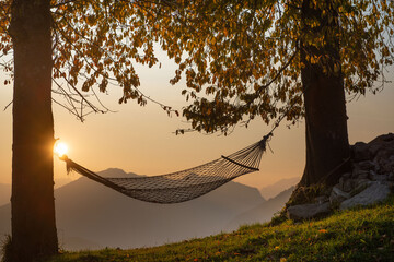 Hammock