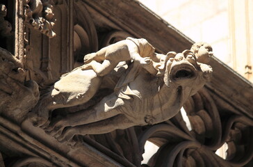 Gargoyle in the Barcelona Cathedral, Spain