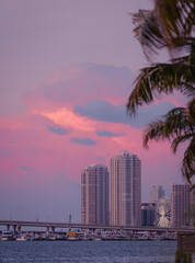 Fototapeta na wymiar city skyline sunrise miami Florida sea sunset sky palms bridge buildings panorama 