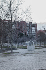 Conjunto de árboles en un día gris de otoño en el parque de una ciudad.