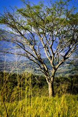 Obraz premium Santa Bárbara - Antioquia, Colombia