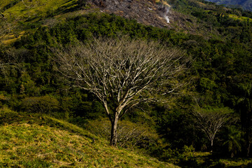 Santa Bárbara - Antioquia, Colombia