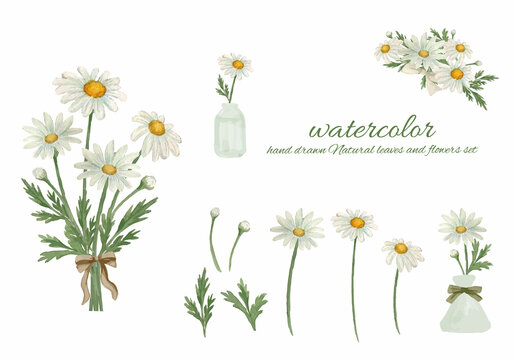 マーガレット の画像 21 966 件の Stock 写真 ベクターおよびビデオ Adobe Stock